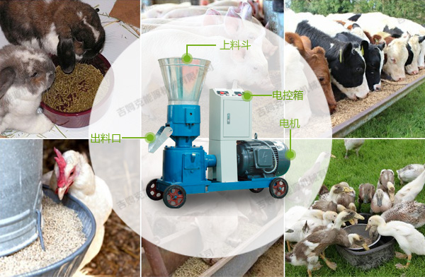 平模飼料顆粒機 平模飼料顆粒機